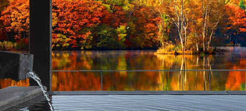 利夫马克斯度假酒店-宫滨温泉OCEAN店(LiVEMAX RESORT MIYAHAMA ONSEN OCEAN)图片