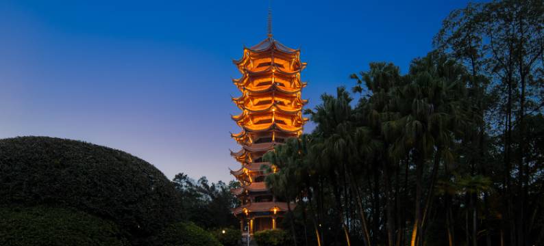 柏晨酒店(重庆江北国际机场店)图片