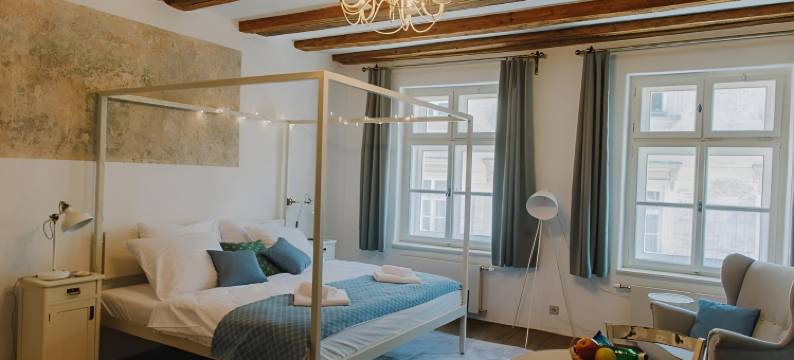 索菲小姐奥洛摩茨精品酒店(Miss Sophie's Olomouc - Boutique Hotel)图片