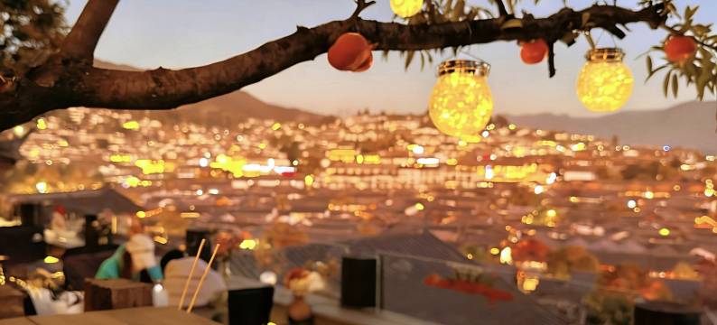 心悦·Mid villa观雪山|山野诧寂风设计师民宿(古城大水车店)图片