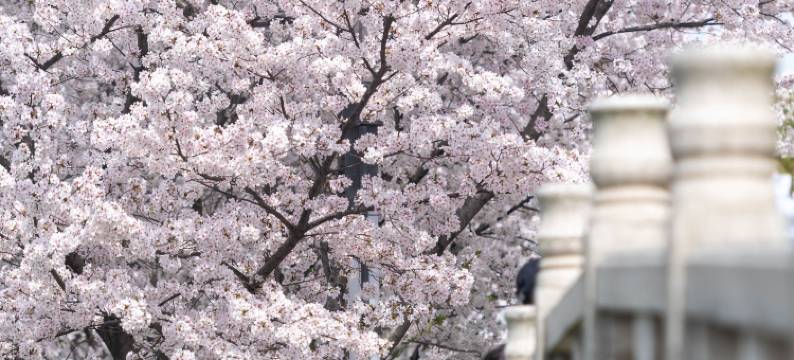 苏州独墅湖世尊酒店图片