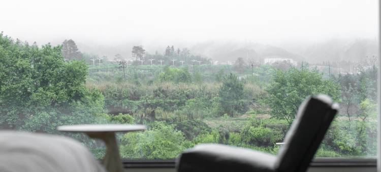 卢秀·溪苑观山临水花园别墅(武夷山三姑度假区店)图片