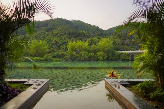 广州碧水湾温泉度假村图片