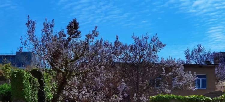 蓬莱登州古巷民宿图片