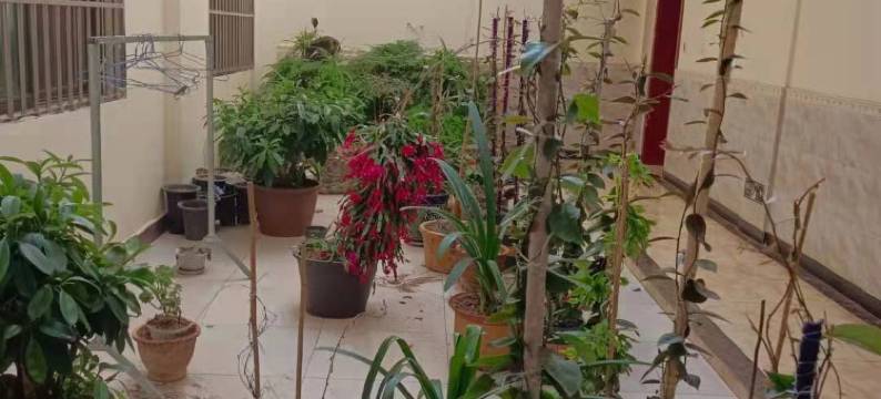 大姚县春溪宾馆图片