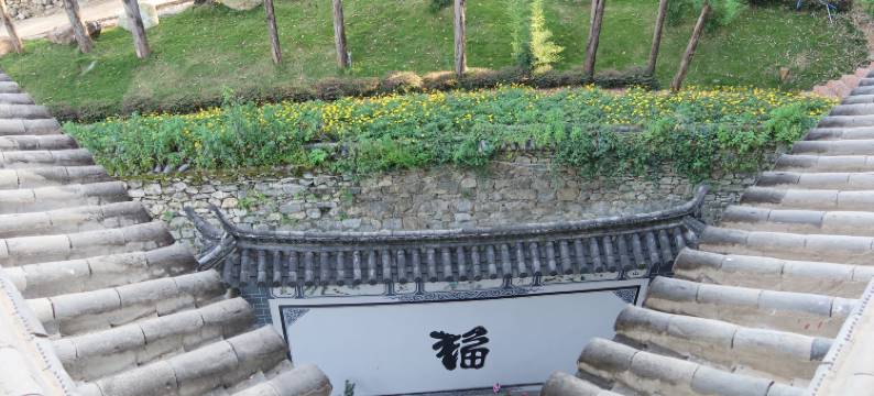 佳韵罗兰民宿(大理古城南门店)图片