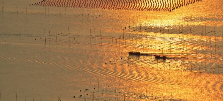 浅蓝舍·捕鱼赶海·假日派对海景别墅(霞浦三沙小皓沙滩店)图片