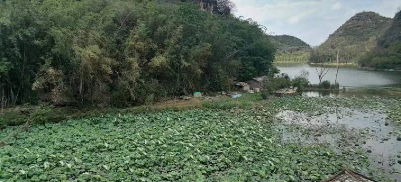 忆家园客栈图片