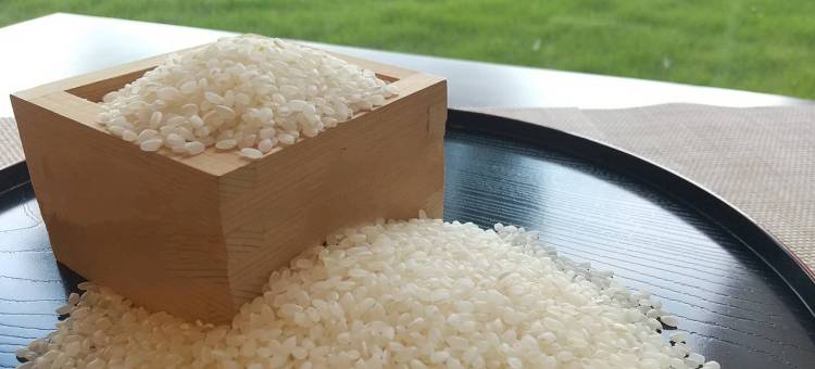 东横INN成田机场本馆(Toyoko Inn Narita Airport Honkan)图片