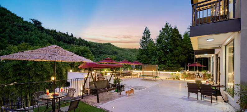 柴屿家CVIVI ' 莫干山萌宠庭院亲子度假美宿丨无敌可爱的胖胖柴犬图片