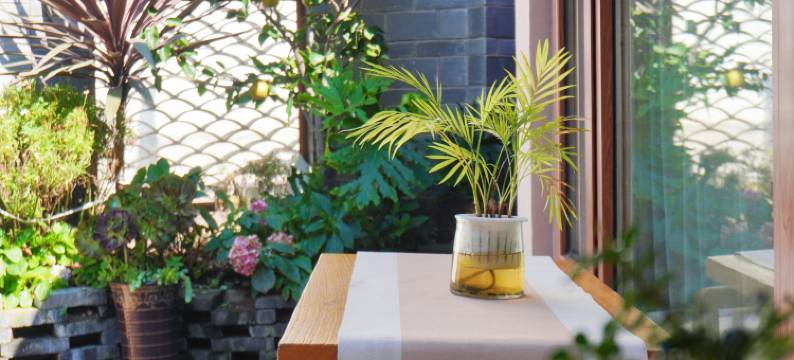 陆和子衿·心灵度假疗愈民宿(丽江古城店)图片