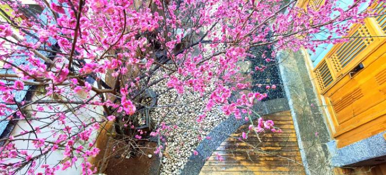 会泽公元一七二七民宿图片