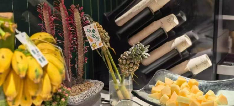 武汉二妃山庄湖畔花园酒店(光谷生物城科技会展中心店)图片