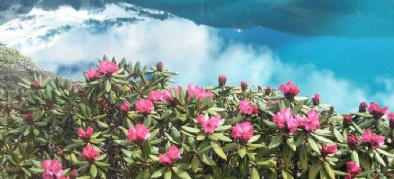 洛扎白玛林央金家庭旅馆图片