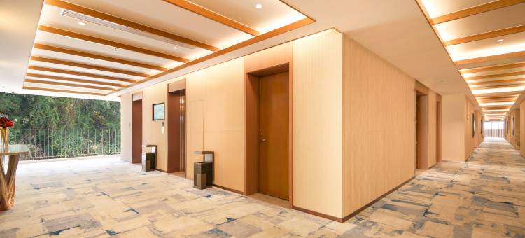 上文旅雷迪森颐墅酒店图片