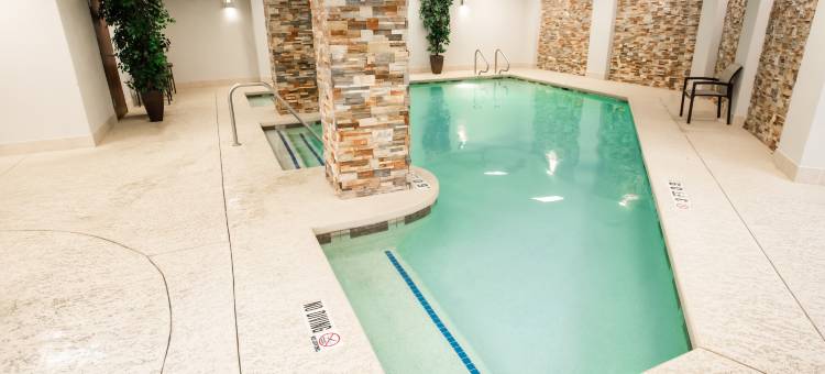 希尔顿惠庭套房酒店奥斯汀市中心南国会大街(Embassy Suites by Hilton Austin Downtown South Congress)图片