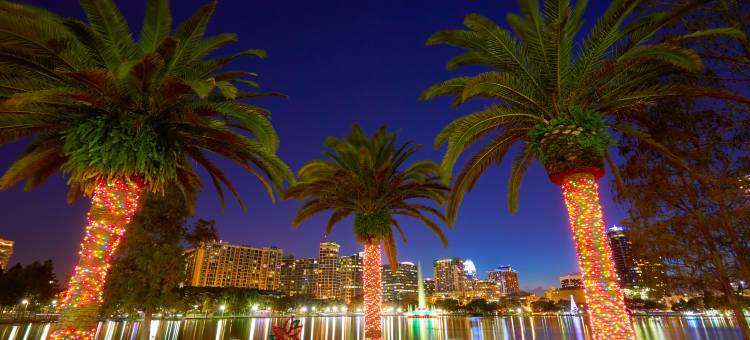 南奥兰多大湖区万怡酒店(Courtyard Orlando South/Grande Lakes Area)图片