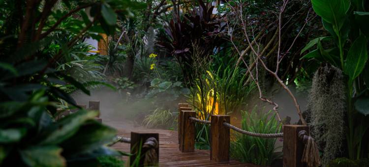 花语水岸·Alice in Wonderland客栈(爱丽丝仙境总店)图片