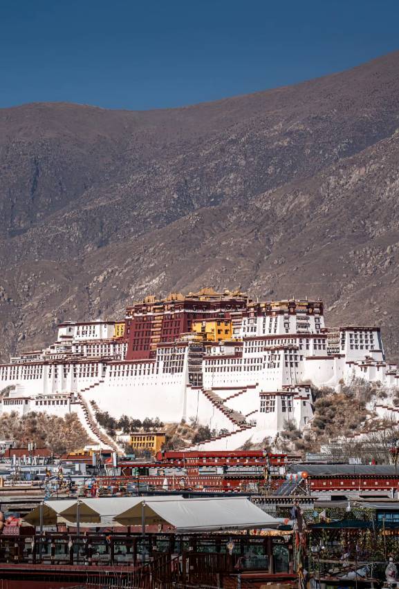 拉萨布达拉宫逸扉酒店图片