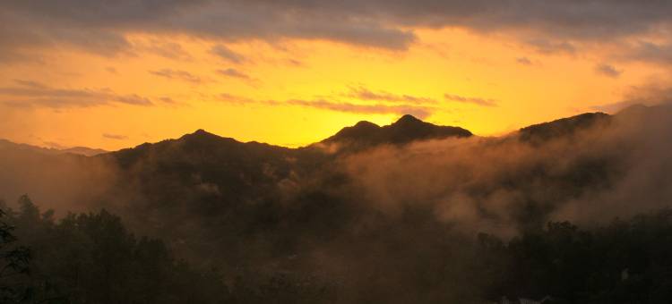 山阳天蓬山寨森林康养基地图片