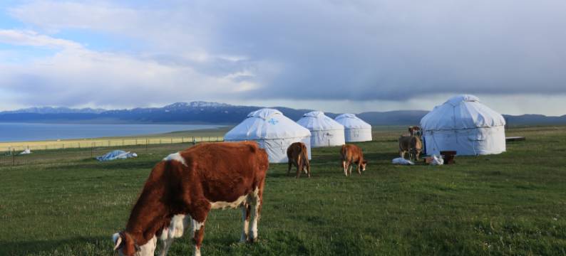 赛里木湖蓝天民宿图片