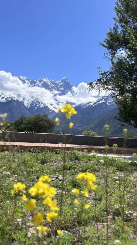 桃花韵酒店(索松店)图片