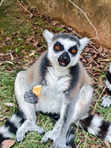 厦门灵玲大酒店图片