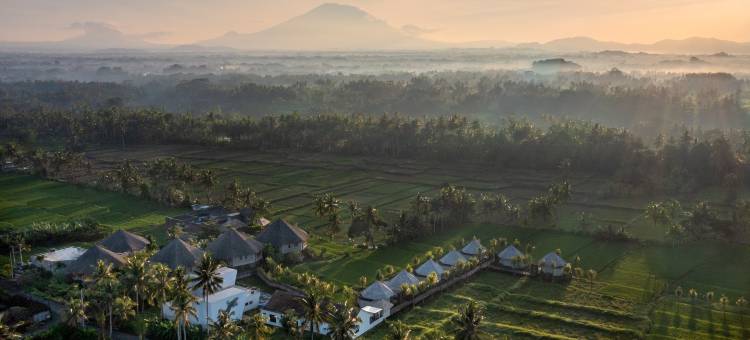 TheWakanda A Pramana Experience图片