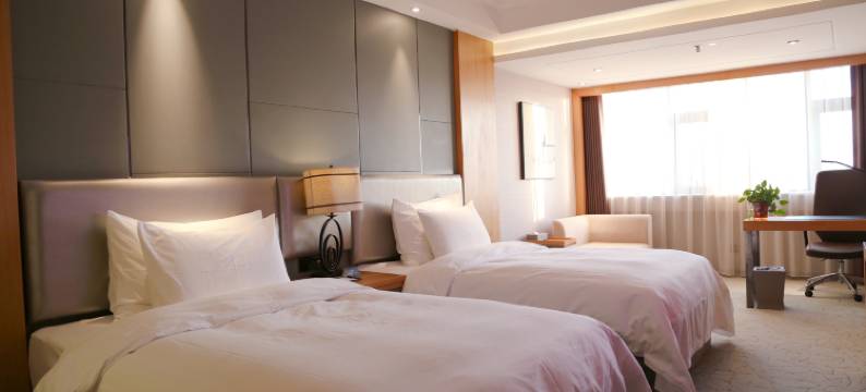 郑州新亚国际大酒店(郑州二七广场大卫城店)图片