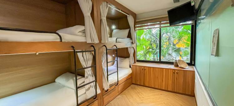 岘港哈维兰热带青年旅舍(Tropical Dorm Hostel Da Nang by Haviland)图片