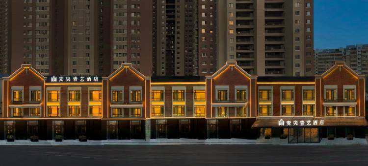 麦尖青艺酒店(沈阳张士开发区沈辽路店)图片