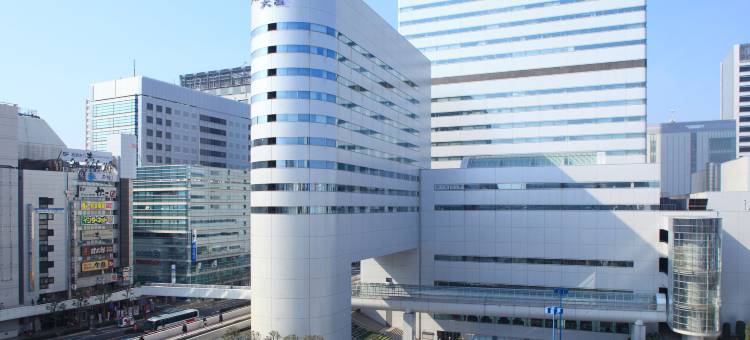 大宫皇宫酒店(Palace Hotel Omiya)图片