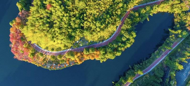 古田山庄(福建古田党员干部教育基地店)图片