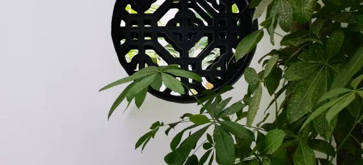 紫萱民宿(洛阳丽景门洛邑古城店)图片