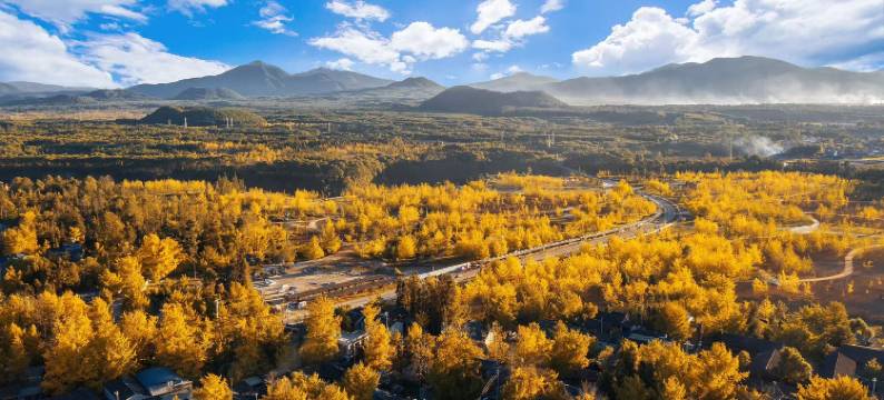 银杏村舒心客栈图片