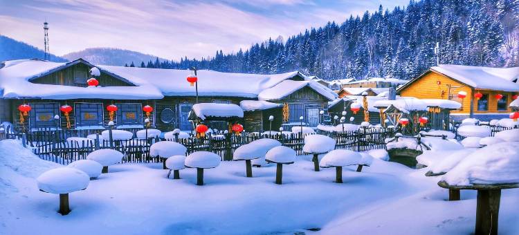 花筑·栖禧民宿(雪谷风景区店)图片