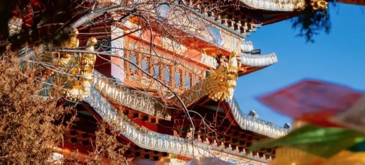 香格里拉.Shangri.La.天降林卡.旅行疗愈民宿(独克宗东门店)图片