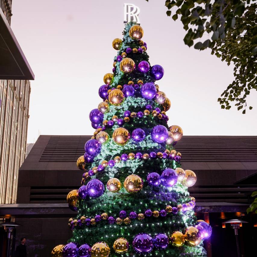 阿丽拉上海图片