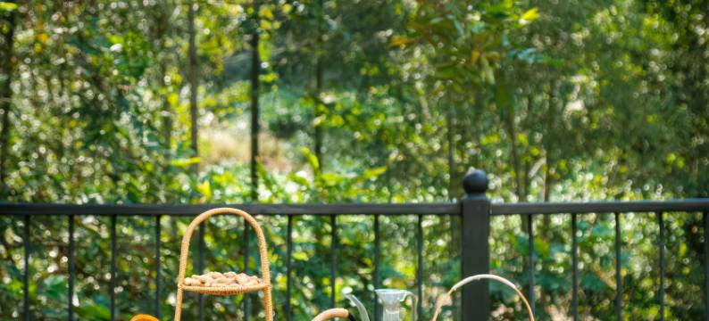 见吾乡·崃漫度假民宿(皖南川藏线店)图片