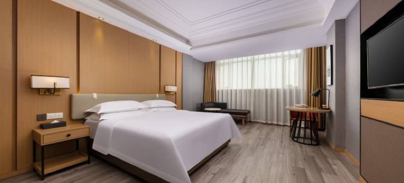 维也纳酒店(中山小榄大信店)图片