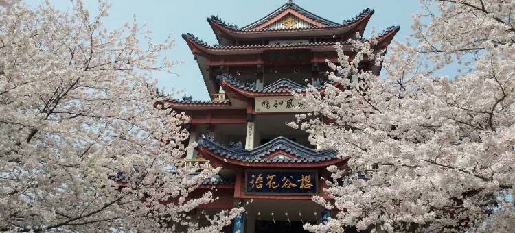 江大星光居(江南大学店)图片
