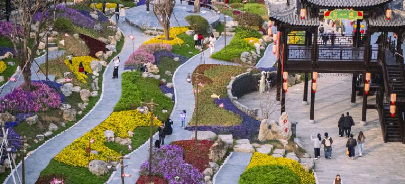 婺女洲度假区徽市街艺术酒店图片