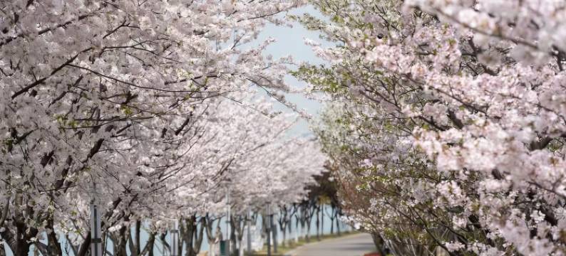 苏州独墅湖世尊酒店图片