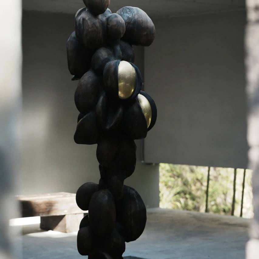 ANAPANA安纳班纳·泰宁图片