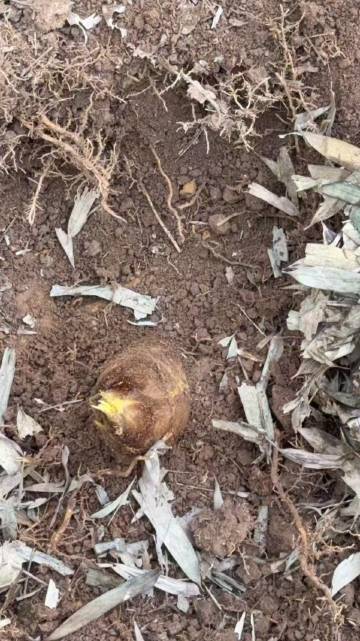 溧阳·灵书拾里·Villa·奢野私汤度假美宿(南山竹海店)图片