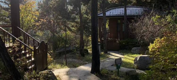 桃柒山居图片