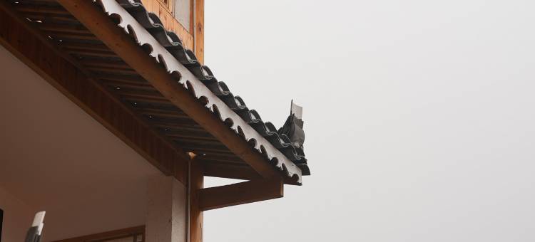 西江龙塘梨院山居度假民宿图片