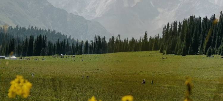 那拉提镇梵野•朴舍FANYEPUSHE民宿图片