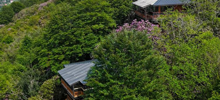 Indra Village Hotel图片