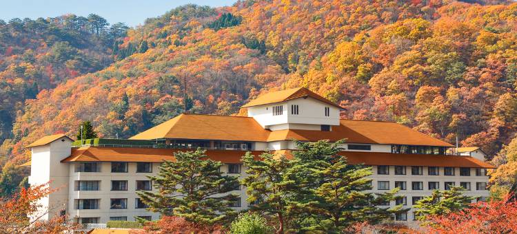 红叶馆酒店(Hotel Koyokan)图片